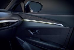 Renault Megane Electric (11)